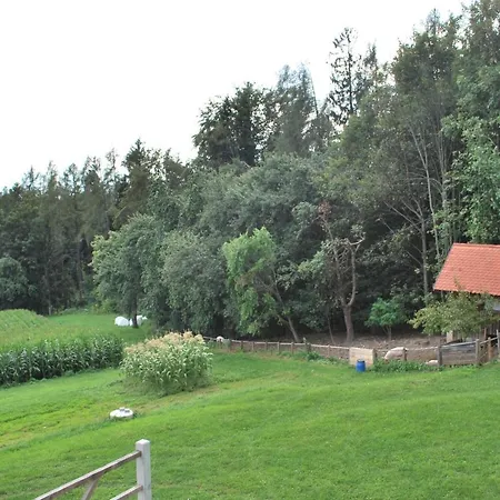 Zetzhirsch Διαμέρισμα *