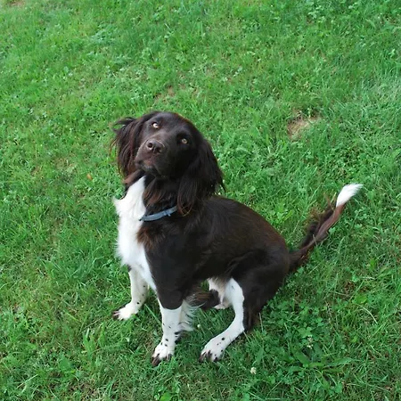 Διαμέρισμα Zetzhirsch