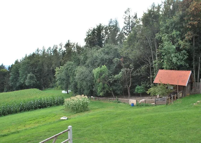 Zetzhirsch Διαμέρισμα *